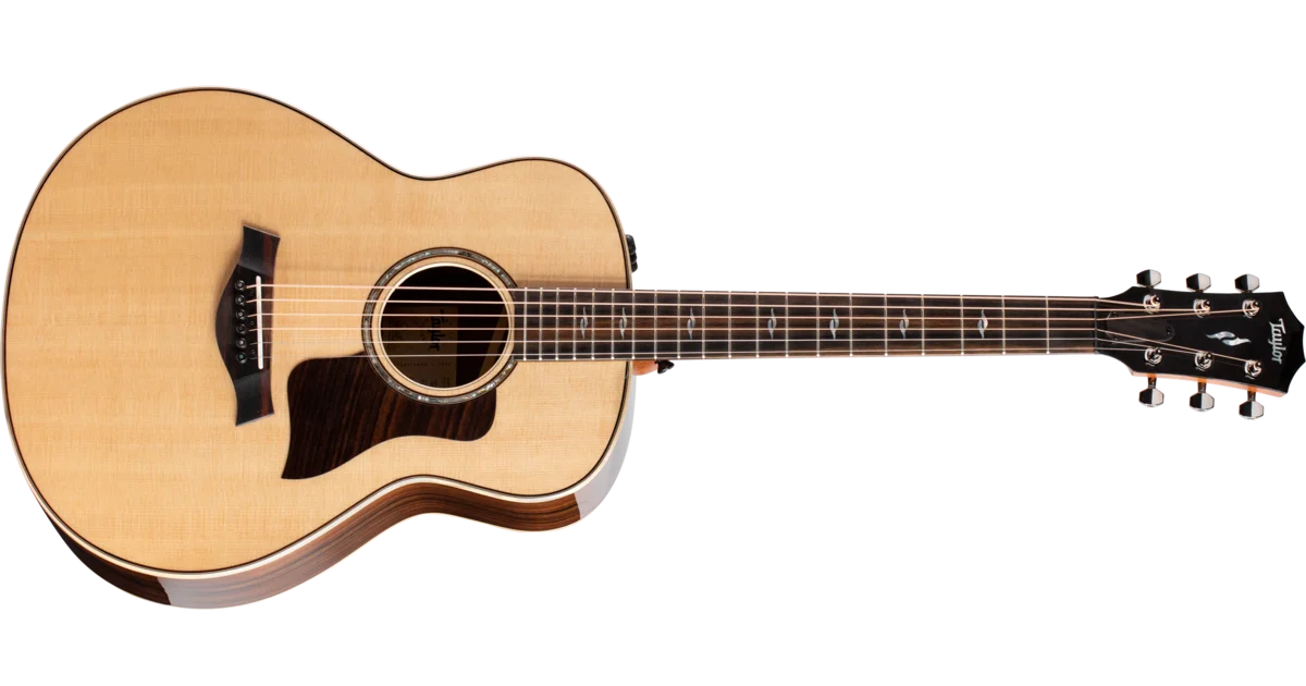 811e Indian Rosewood Acoustic-Electric Guitar | Taylor Guitars